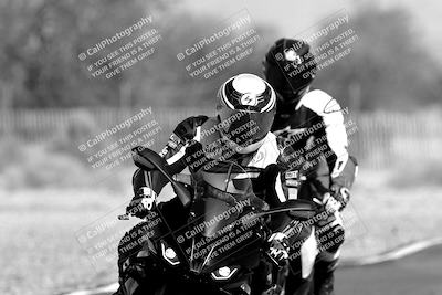 media/Feb-04-2023-SoCal Trackdays (Sat) [[8a776bf2c3]]/Around the Pits (Track Entry-Exit)/